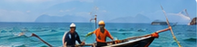 Nelayan Trenggalek Panen Ikan Tuna di Laut Selatan