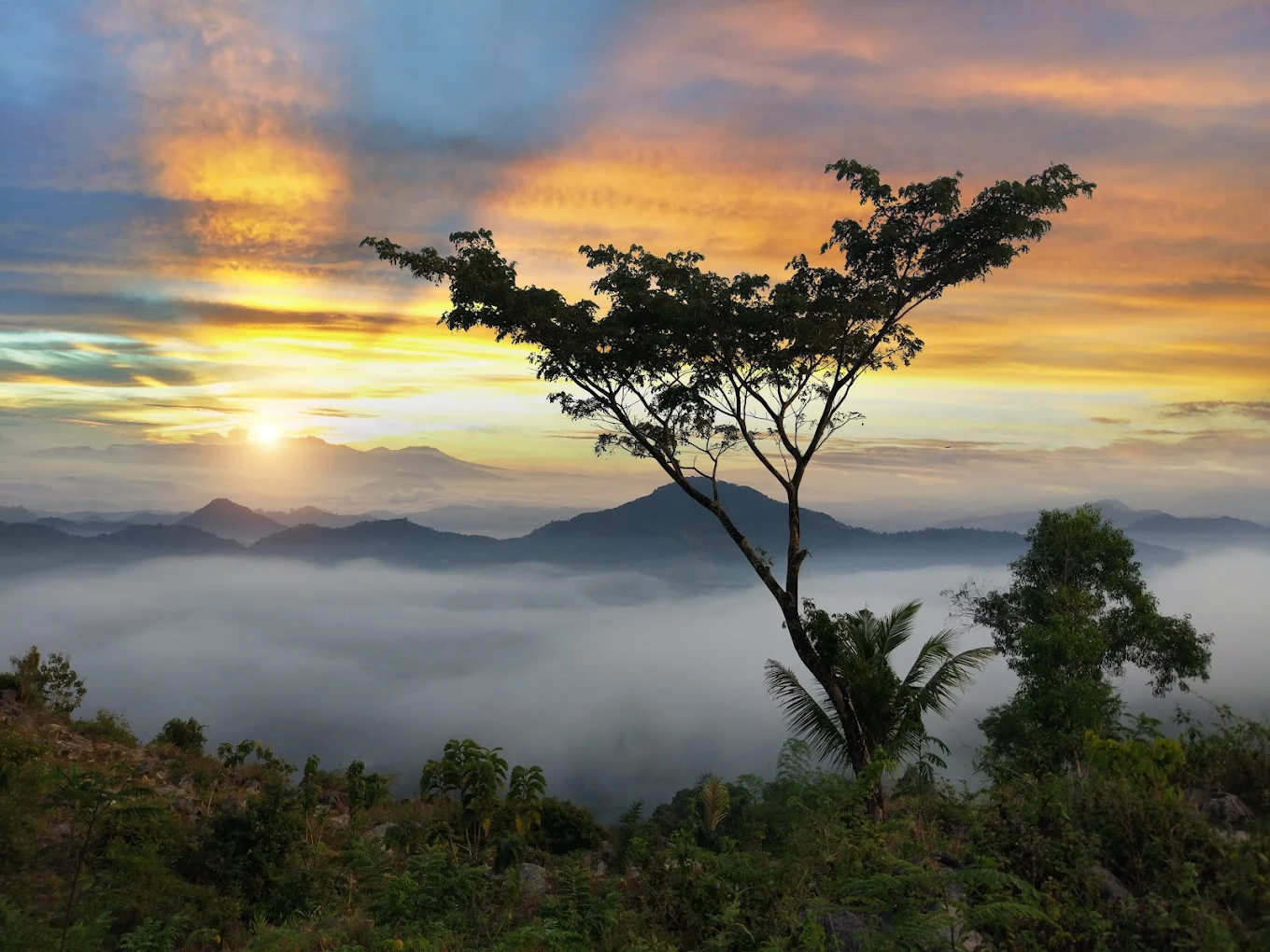 Bukit Banyon